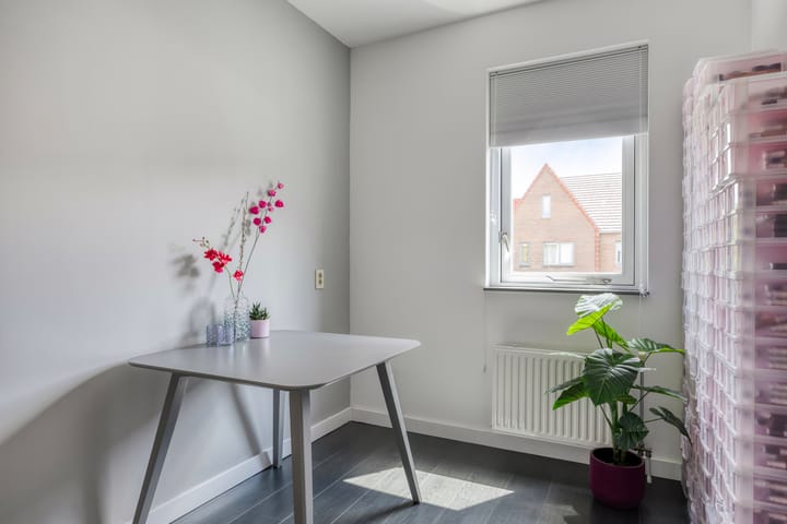 Foto 19 van Zandloopkever 19