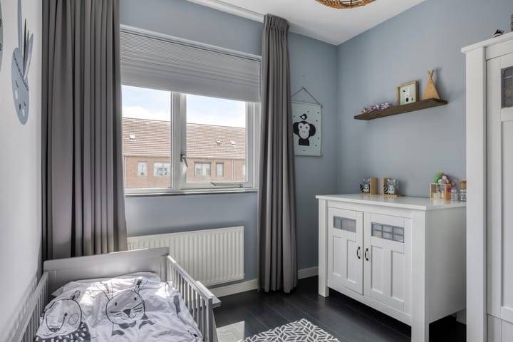 Foto 20 van Zandloopkever 19