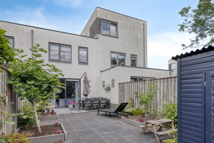 Foto 24 van Zandloopkever 19