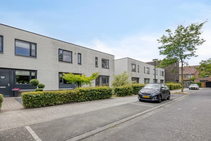 Foto 27 van Zandloopkever 19