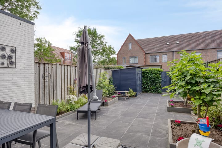 Foto 22 van Zandloopkever 19