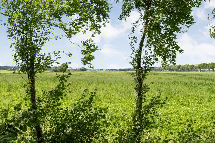 Foto 78 van Posthoornweg 54