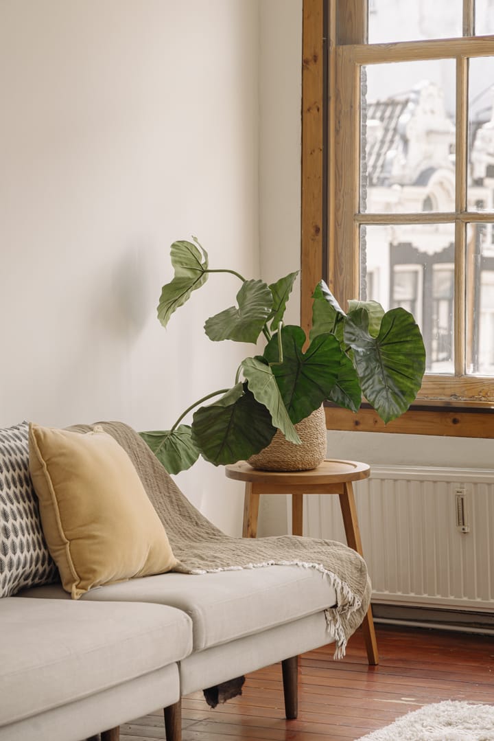 Foto 7 van Oudezijds Achterburgwal 149-2V