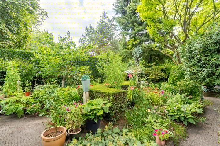 Foto 26 van Zandvoortweg 215