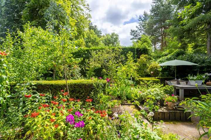 Foto 33 van Zandvoortweg 215