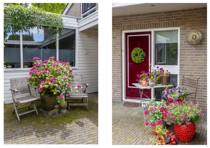 Foto 39 van Zandvoortweg 215