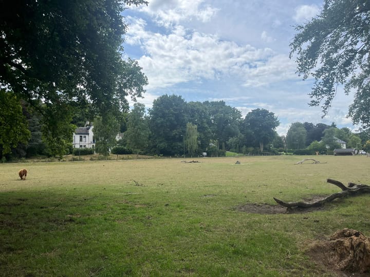 Foto 41 van Zandvoortweg 215