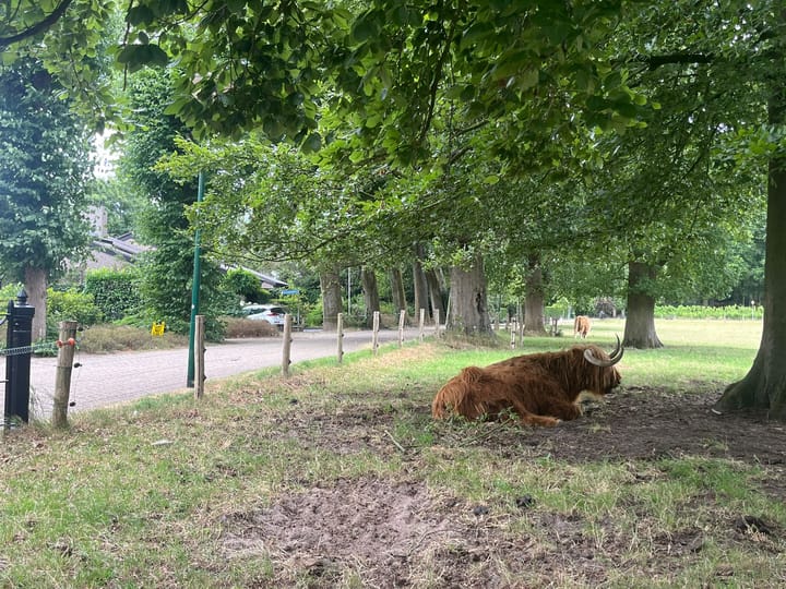 Foto 42 van Zandvoortweg 215