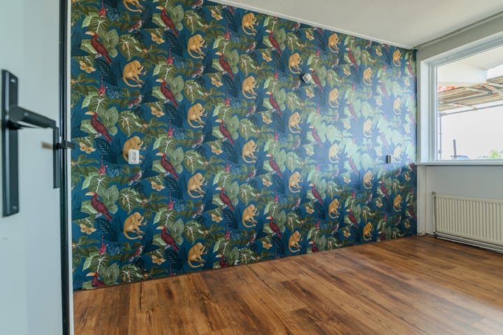 Photo 33 of Coehoorn van Scheltingaweg 52