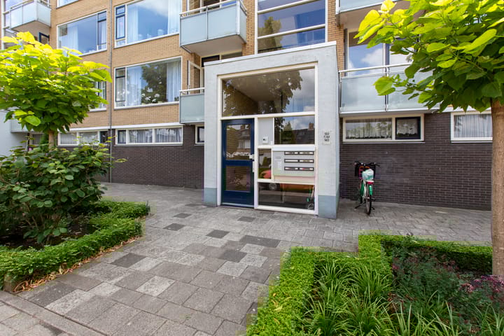 Foto 2 van Dronensingel 141