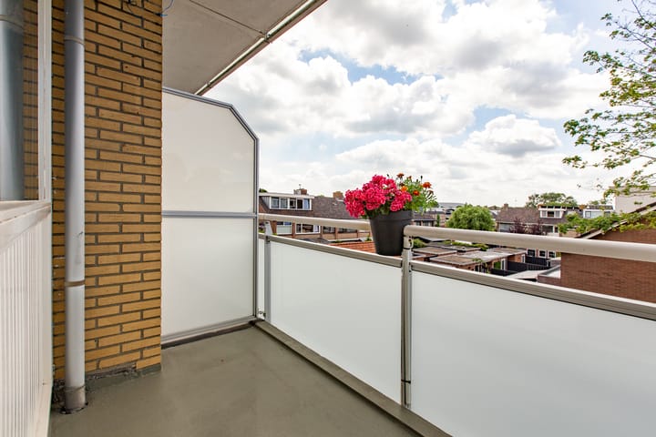 Foto 24 van Dronensingel 141