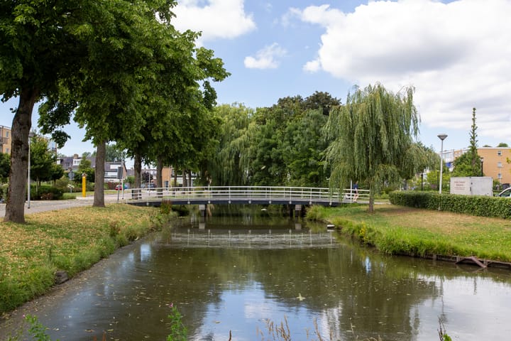 Foto 34 van Dronensingel 141