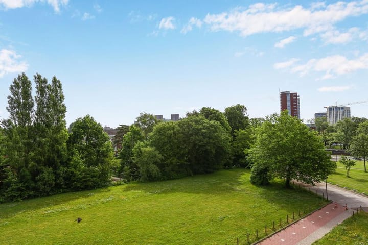 Foto 15 van Paviusstraat 188