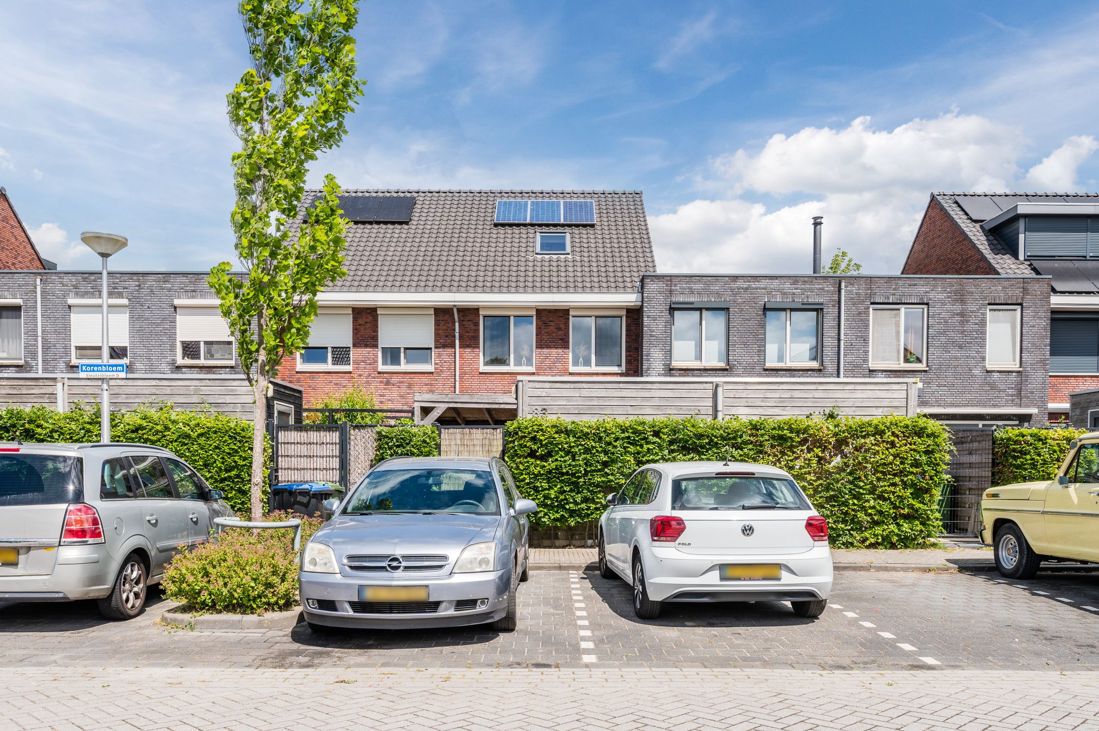 Foto 42 van Sleutelbloem 83