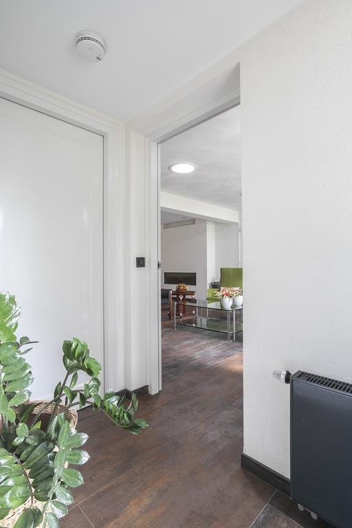 Foto 9 van Loevestraat 45