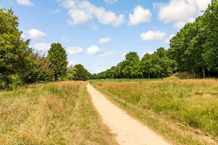 Foto 25 van Phohistraat 104