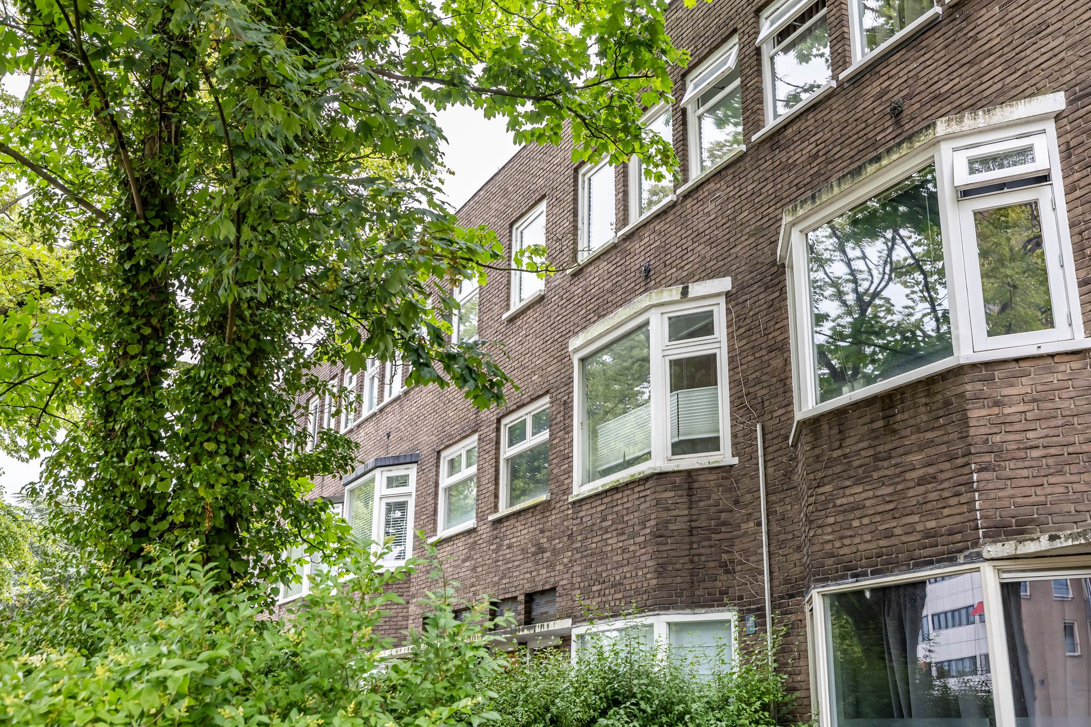 Foto 3 van Petrus Campersingel 129-A