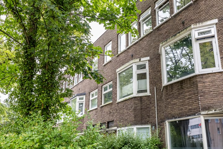 Foto 3 van Petrus Campersingel 129-A