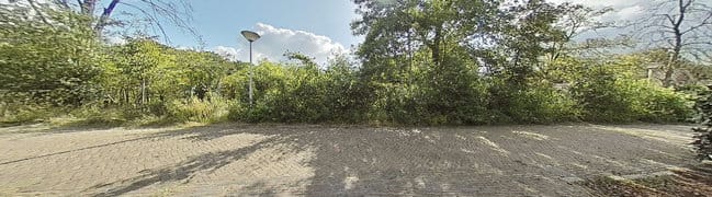 foto1