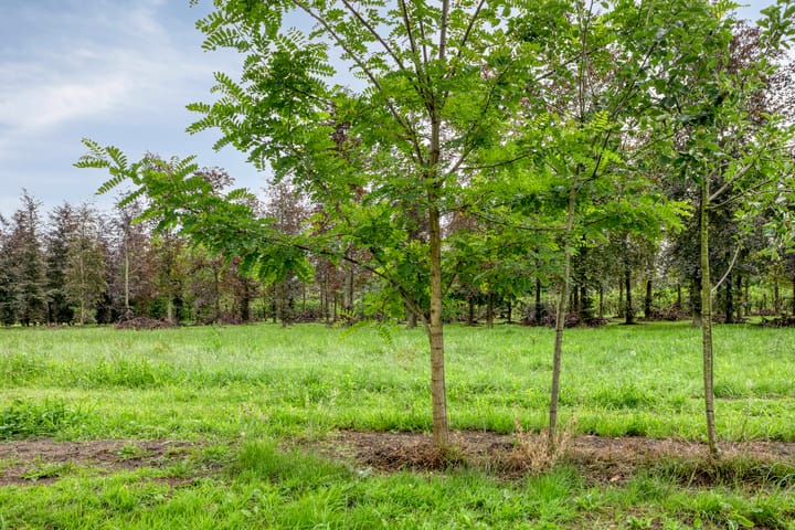 Photo 31 of Poelweg 35