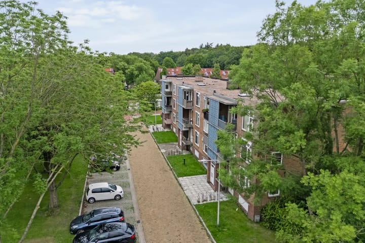 Foto 7 van Gerard Doustraat 59