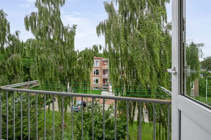 Foto 25 van Gerard Doustraat 59