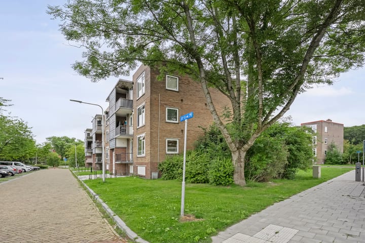 Foto 35 van Gerard Doustraat 59