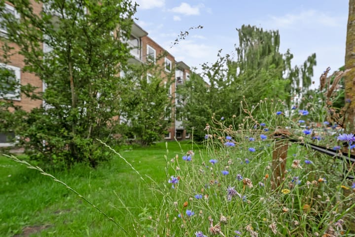 Foto 37 van Gerard Doustraat 59