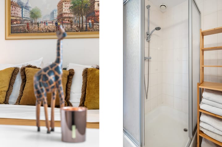 Foto 12 van Boezemkade 221