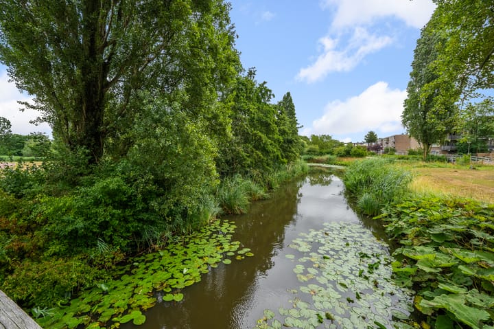 Foto 33 van Soesterberghof 50