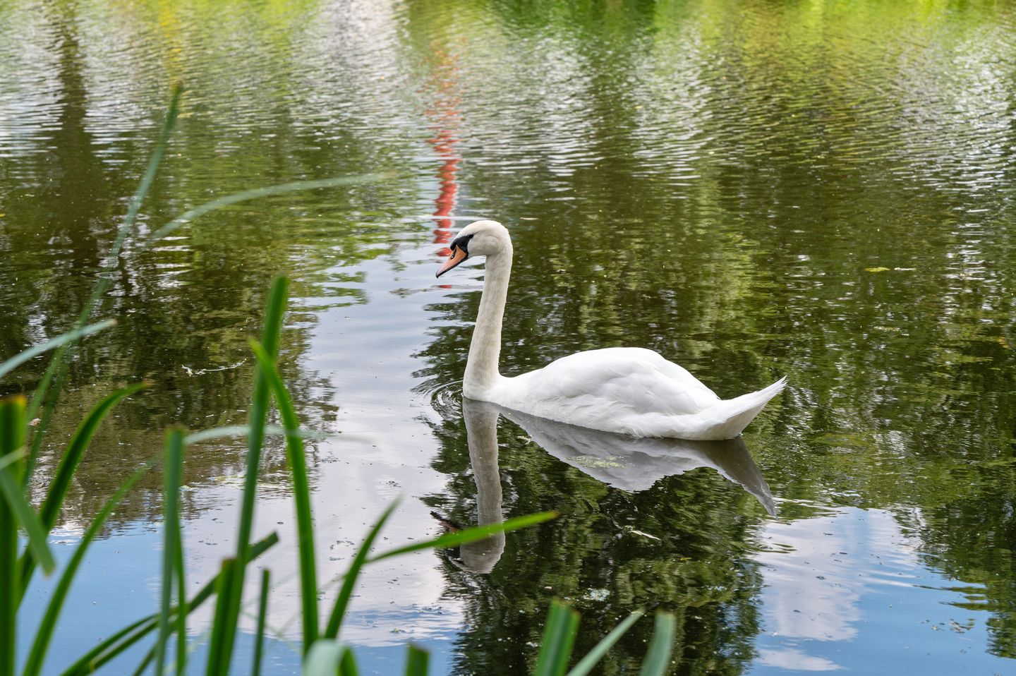 Foto 20 van Boezemkade 221