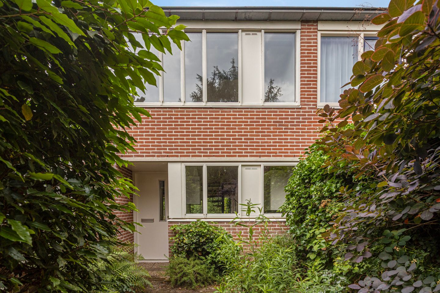Het Eiland 44 main image