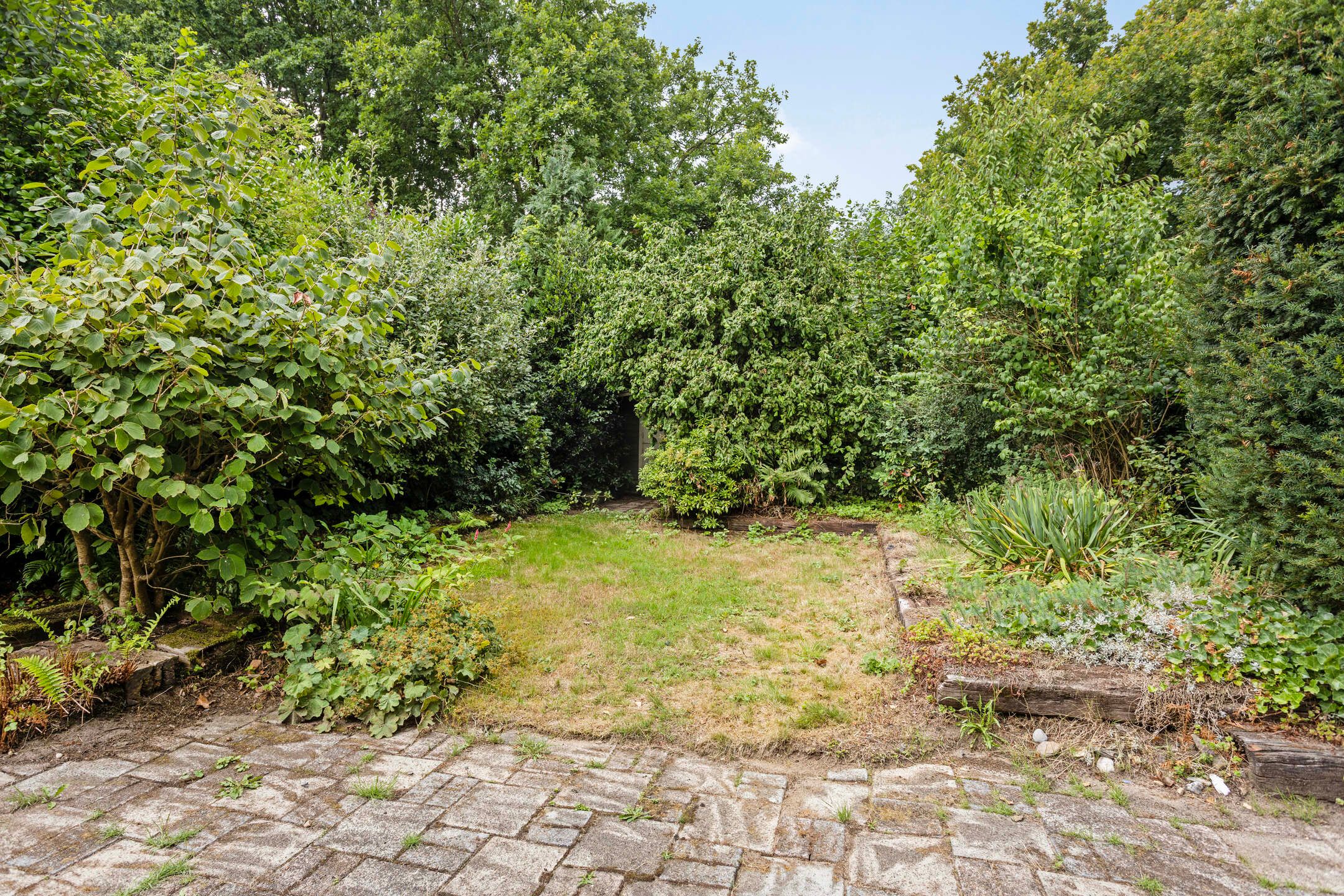 Photo 36 of Het Eiland 44