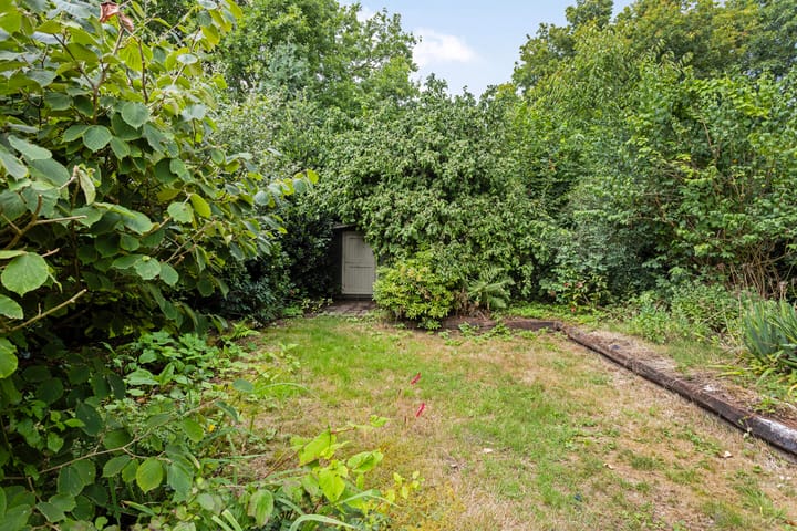 Foto 40 van Het Eiland 44