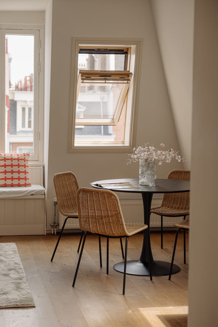 Foto 4 van Linnaeusstraat 12-3