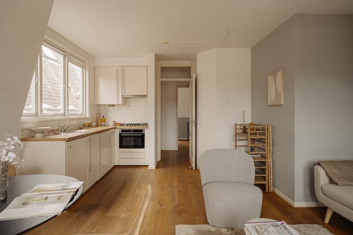 Foto 5 van Linnaeusstraat 12-3