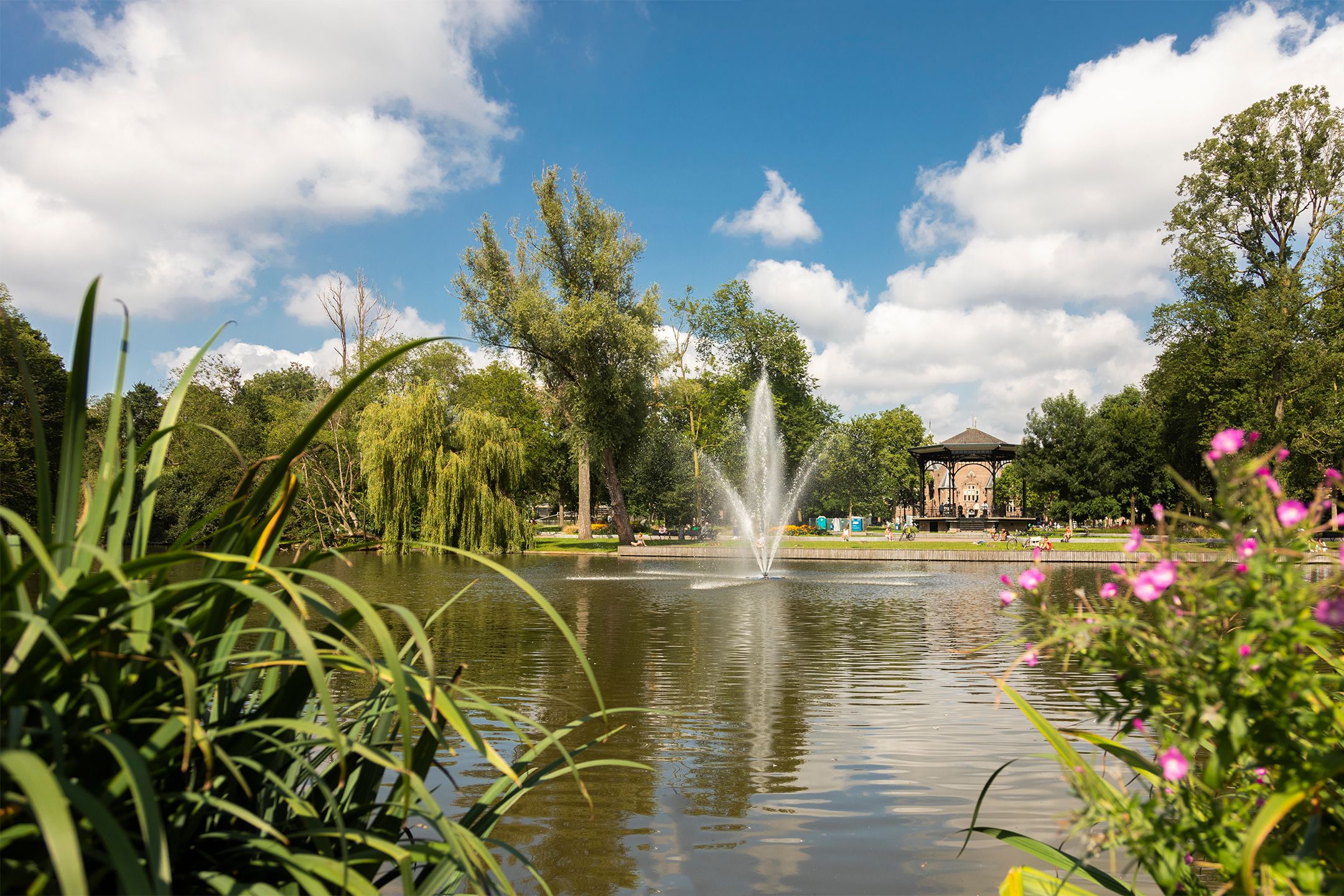 Foto 15 van Linnaeusstraat 12-3