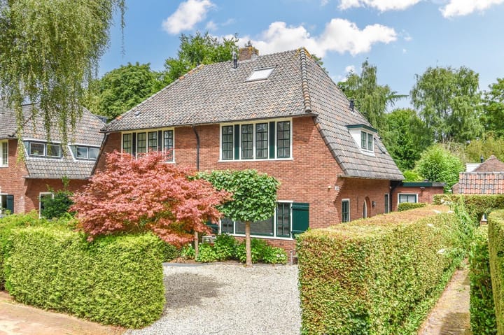 Foto 5 van Molenaar 10