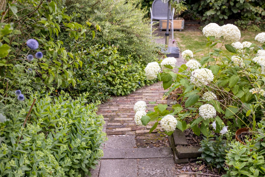 Foto 46 van Zandkreek 1