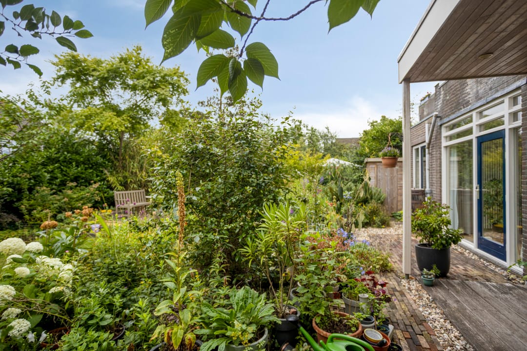 Foto 47 van Zandkreek 1