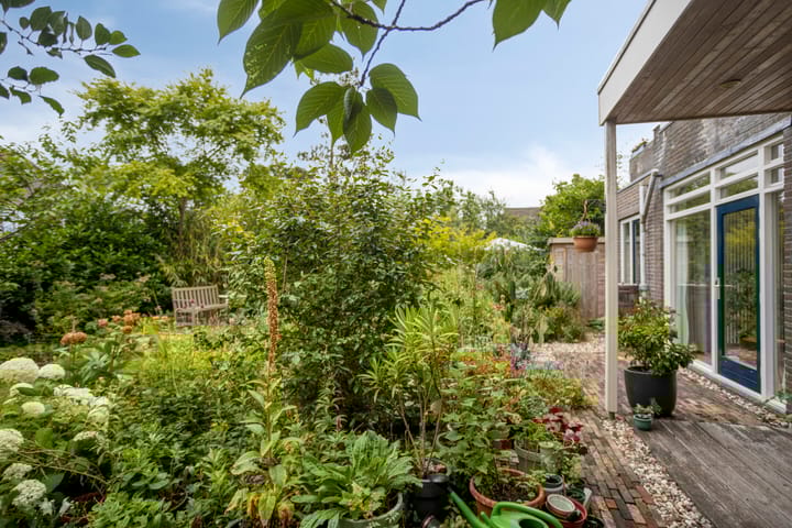 Foto 47 van Zandkreek 1