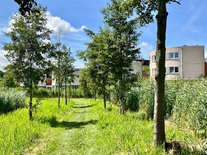 Foto 9 van Ringvaart 16