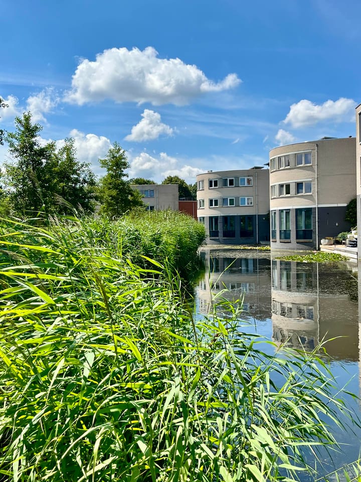 Foto 44 van Ringvaart 16