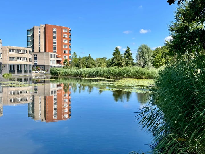 Foto 46 van Ringvaart 16