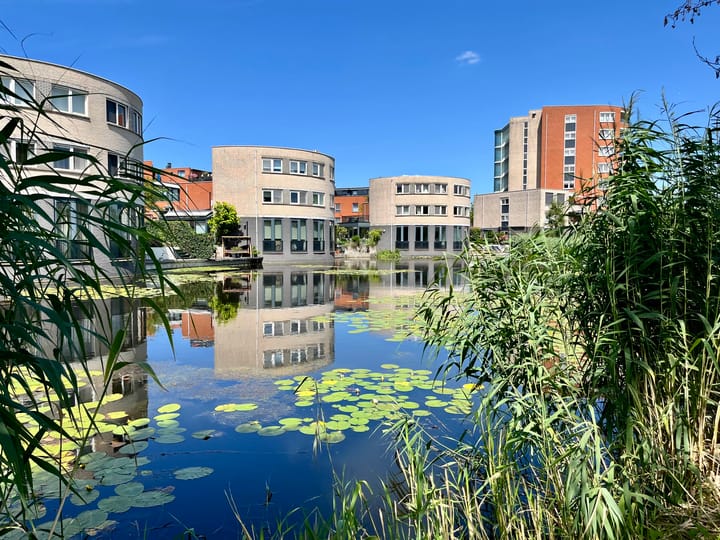 Foto 47 van Ringvaart 16