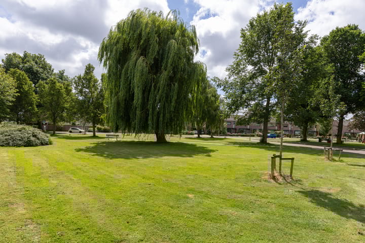 Foto 39 van Neptunusstraat 52