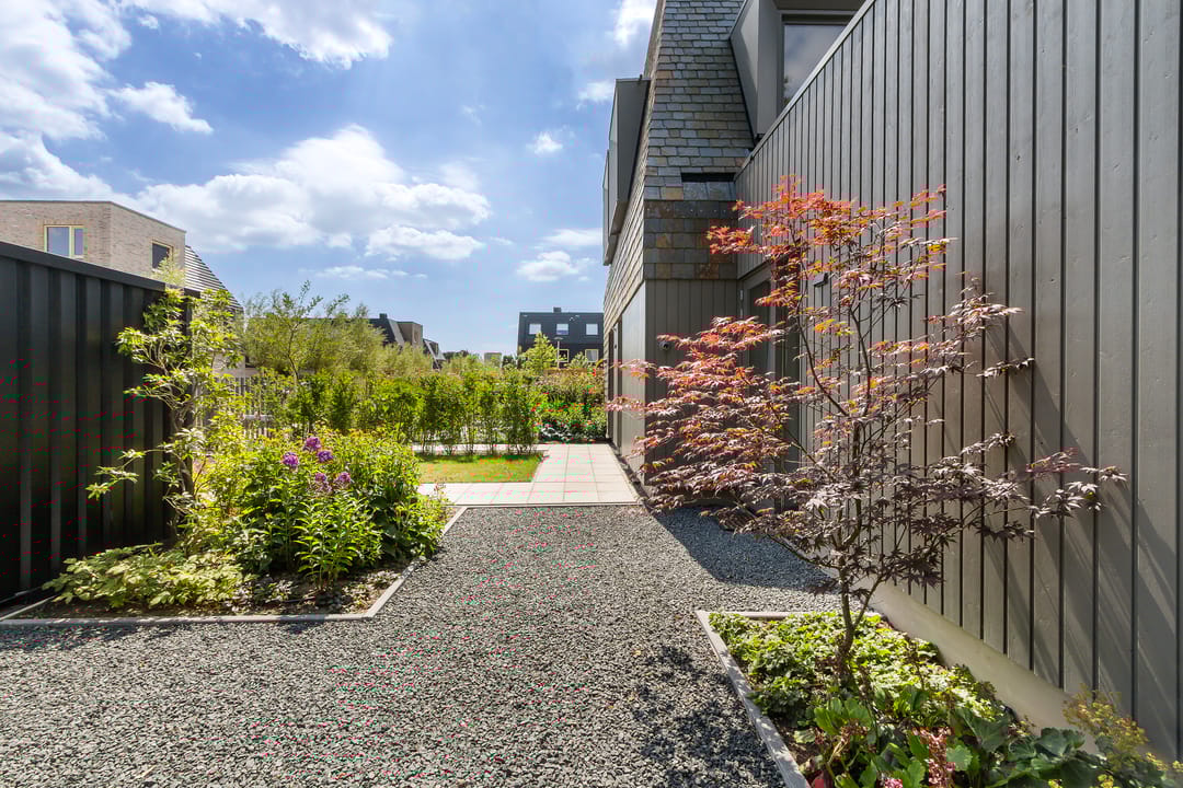 Foto 8 van Rietkraag 42