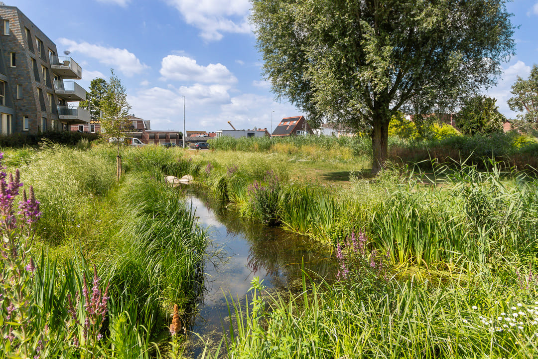 Foto 22 van Rietkraag 42