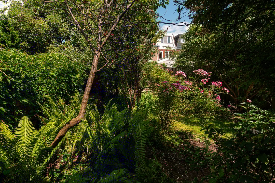 Foto 28 van Van Hoornekade 193