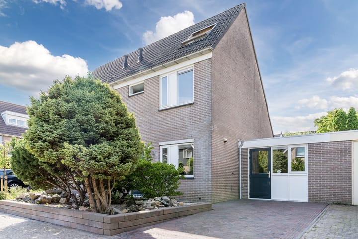 Foto 2 van Schoener 42